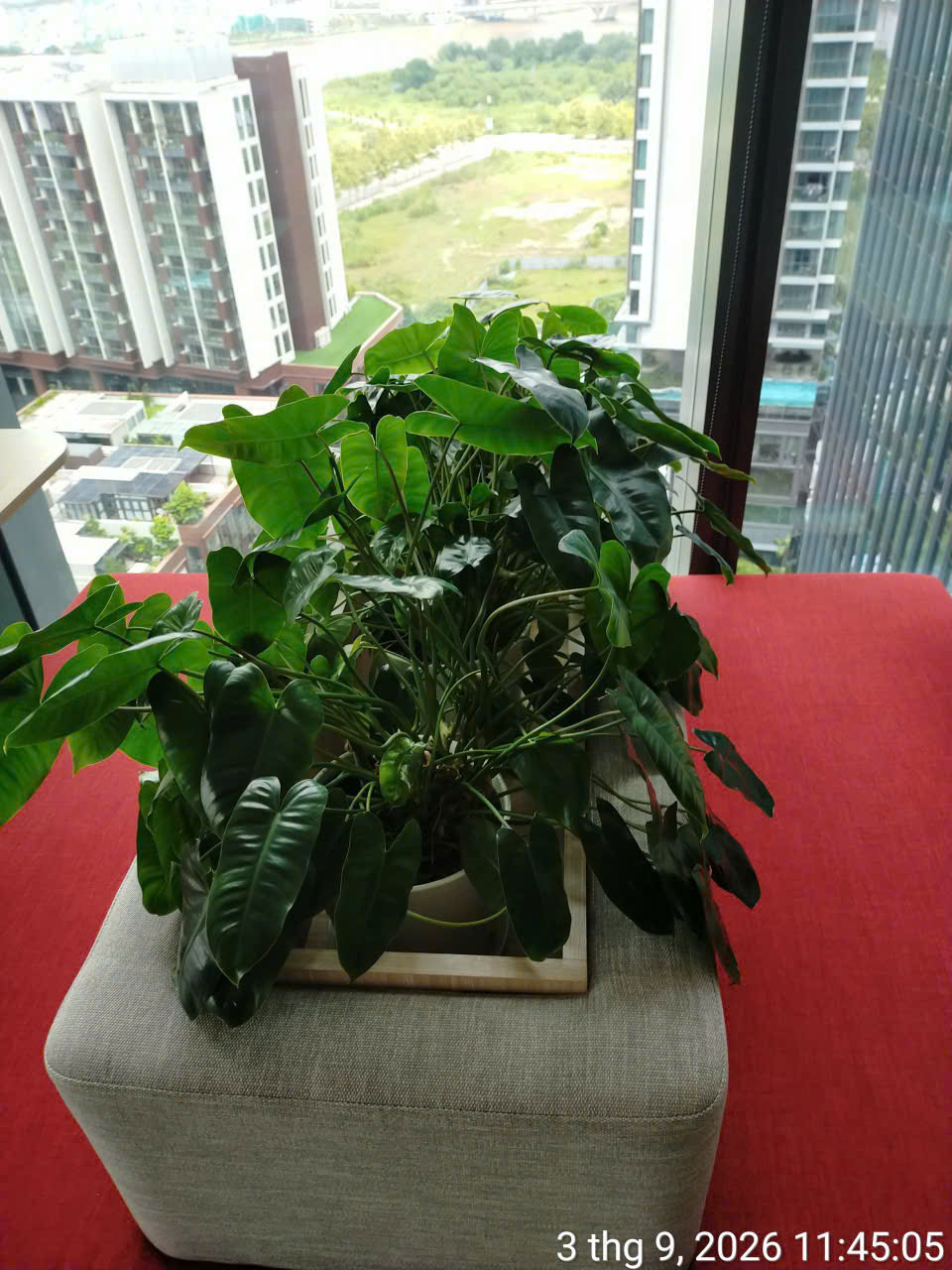 Sản phẩm