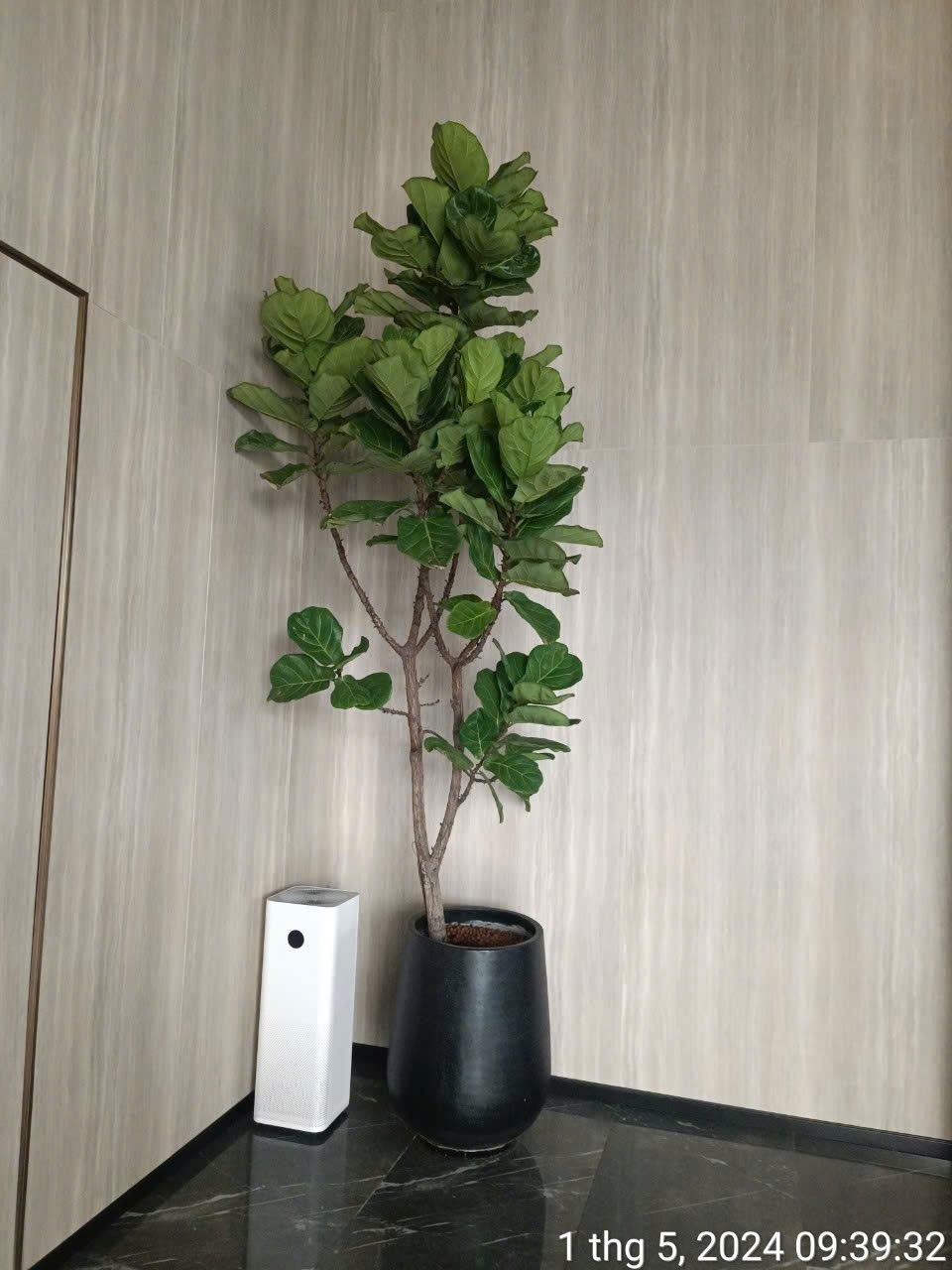Sản phẩm